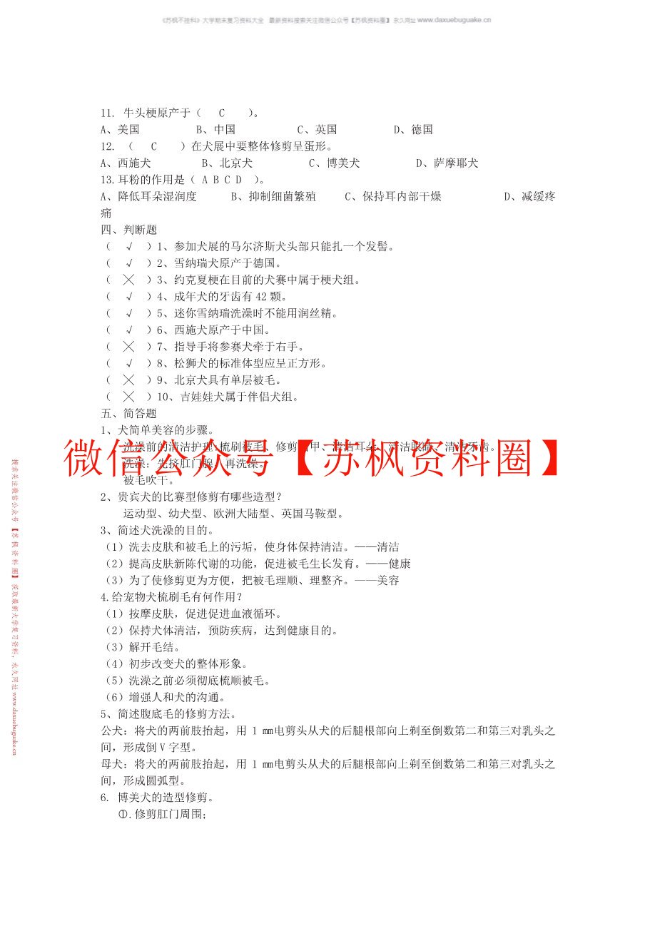 宠物美容